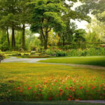 beautiful_garden_view_green_trees_plants_bushes_grass_colorful_flowers_field_hd_nature